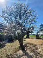 搭ノ木稲荷神社(栃木県)