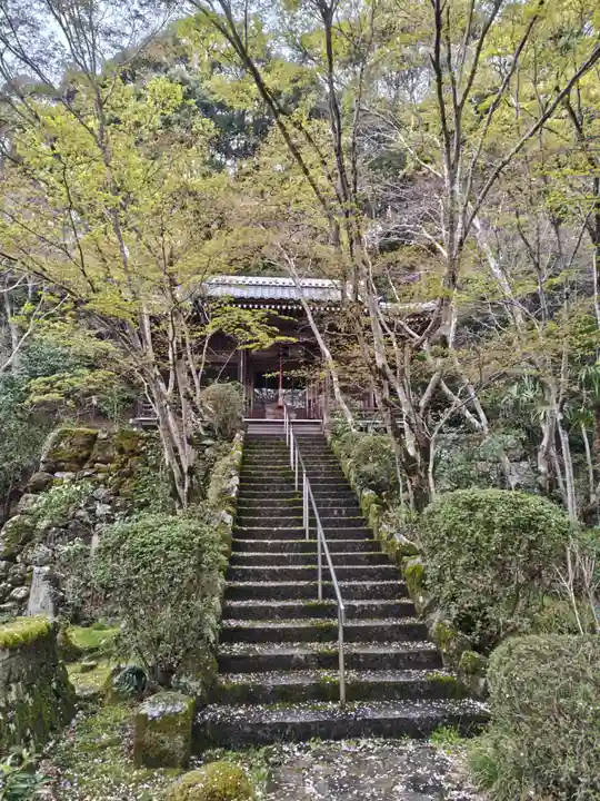 勝持寺(花の寺)(京都府)