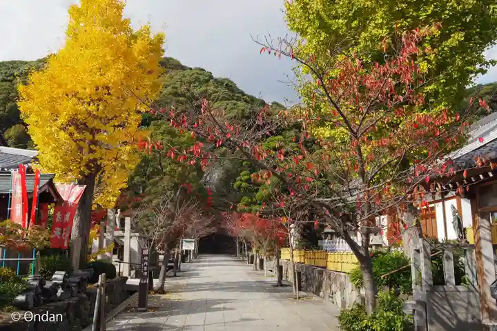 桜寿院の景色