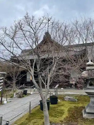 勝林寺(京都府)