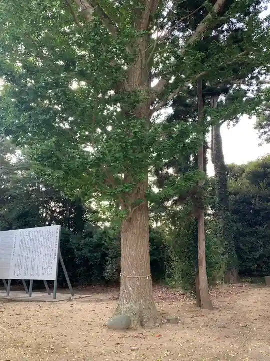 水神社(千葉県)