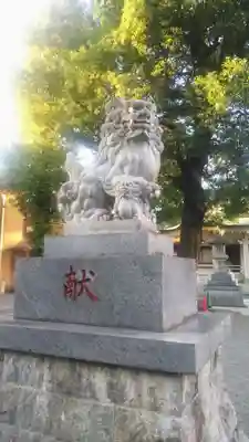 荻窪白山神社の狛犬