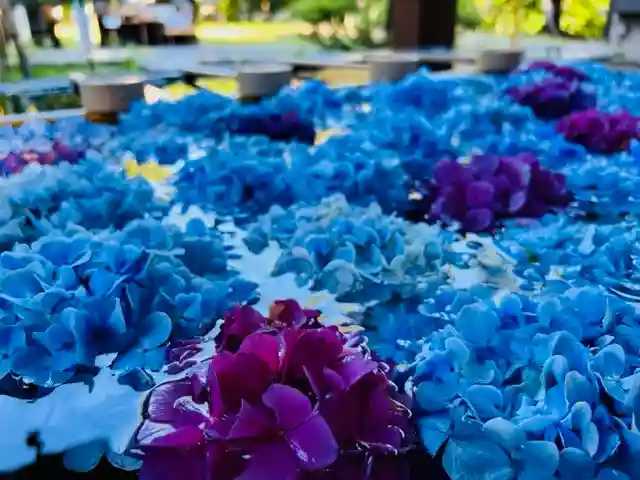 土津神社|こどもと出世の神さま(福島県)