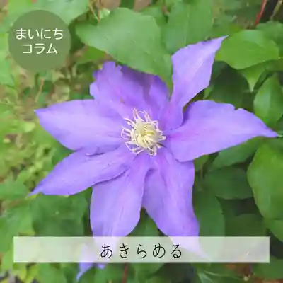 壽徳寺 じゅとくじ(福島県)