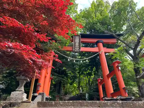 新倉富士浅間神社の鳥居