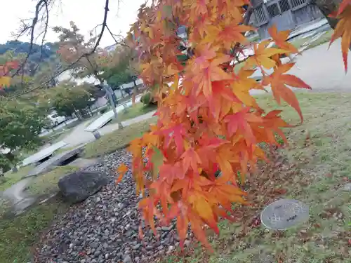 太宰府天満宮の庭園