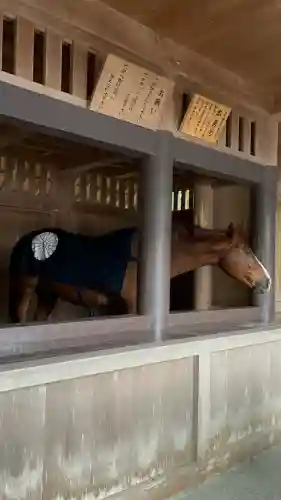 伊勢神宮内宮（皇大神宮）(三重県)