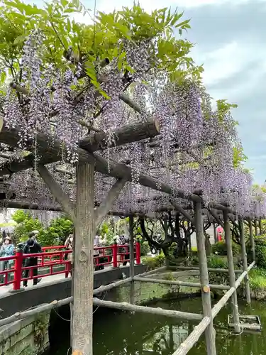 亀戸天神社の庭園