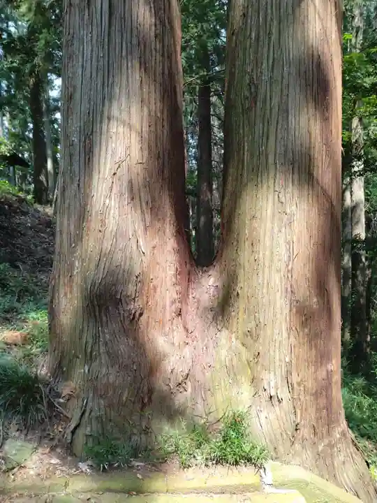 御瀧神社(福島県)