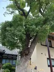 成海神社の自然