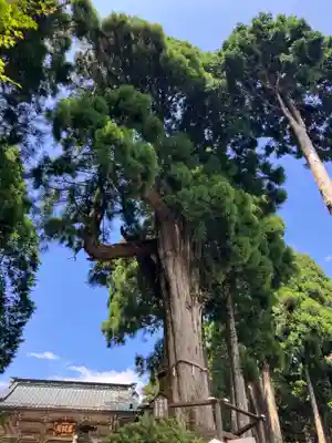 身延山奥之院思親閣(山梨県)