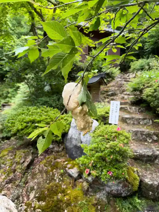 妙楽寺(福井県)