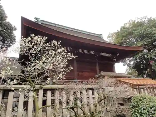 道明寺天満宮の本殿