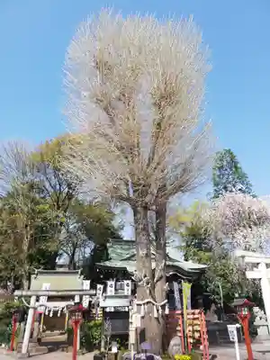 川越八幡宮のその他建物