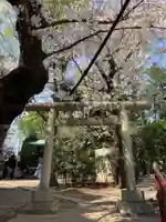 上目黒氷川神社の鳥居