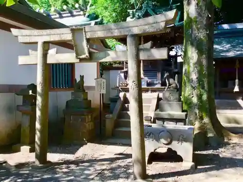 北澤八幡神社の鳥居