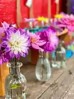 伊達神社(北海道)