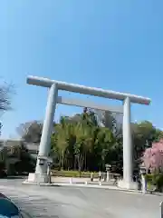 櫻木神社の鳥居