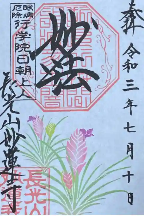 7月御朱印
チランドシア・キネア