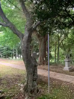 八幡神社の自然
