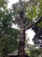 八幡神社(千葉県)