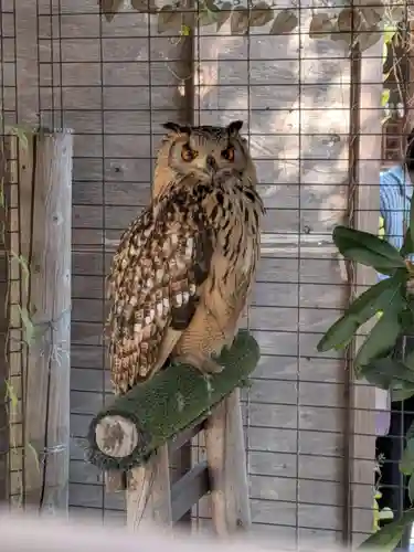 宮地嶽神社(福岡県)
