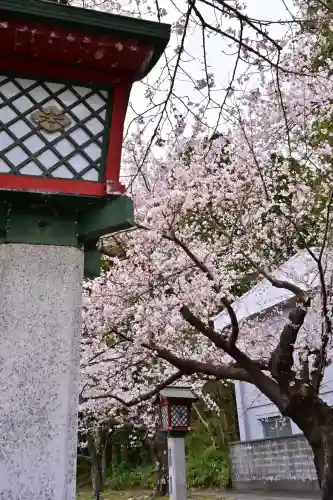 彌彦神社(新潟県)