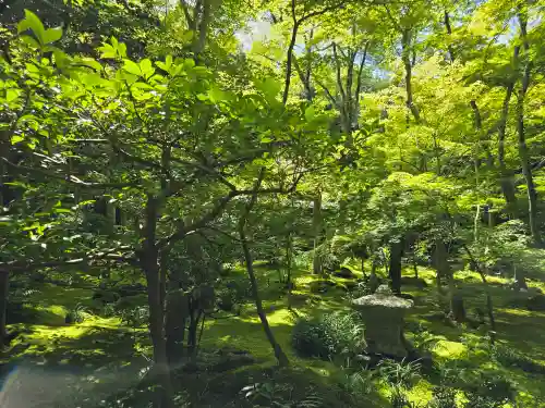 祇王寺(京都府)