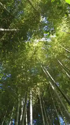 明月院(神奈川県)