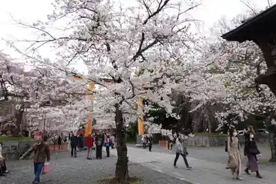 平野神社(京都府)