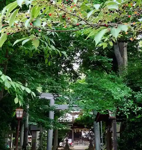 星宮神社の鳥居