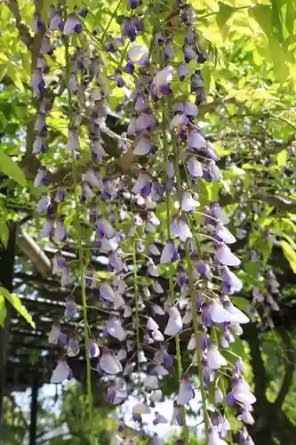 西大寺(奈良県)