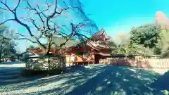 富士山本宮浅間大社(静岡県)