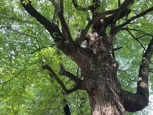 王子稲荷神社(東京都)