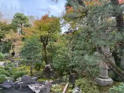 養徳院(京都府)