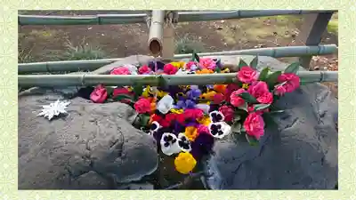 馬場氷川神社(埼玉県)