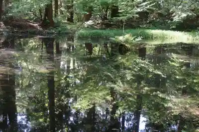 平泉寺白山神社(福井県)