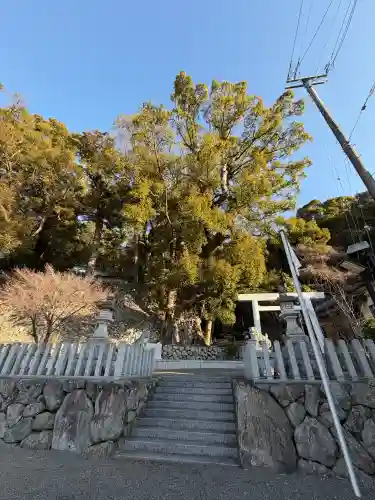 長島神社の{uncategorized: "未分類", other: "その他", undefined: "問題あり", building: "その他建物", grave: "お墓", sacred_gate: "鳥居", guardian: "狛犬", statue: "像", buddha: "仏像", history: "歴史", nature: "自然", garden: "庭園", animal: "動物", pagoda: "塔", temizu: "手水舎", mountain_gate: "山門・神門", sanctuary: "本殿・本堂", subordinate: "末社・摂社", art: "芸術", scenery: "景色", jizo: "地蔵", ema: "絵馬", goshuin: "御朱印", omikuji: "おみくじ", items: "授与品その他", amulet: "お守り", goshuincho: "御朱印帳", eats: "食事", festival: "お祭り", votive_dance: "神楽", shichigosan: "七五三参", wedding: "結婚式", experience: "体験その他", initially: "初詣", around: "周辺", anti_infection: "感染症対策"}