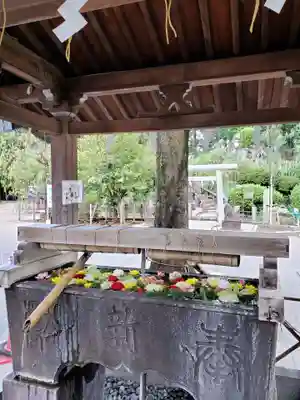 鳩森八幡神社の手水舎
