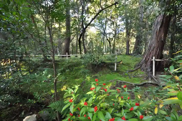 秋篠寺(奈良県)