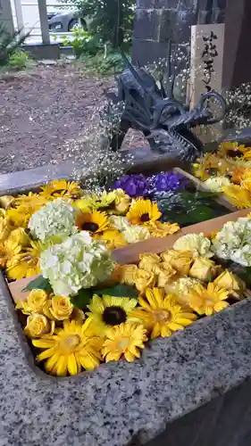 札幌諏訪神社の手水