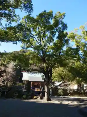 安房神社(千葉県)