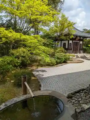 建仁寺（建仁禅寺）(京都府)