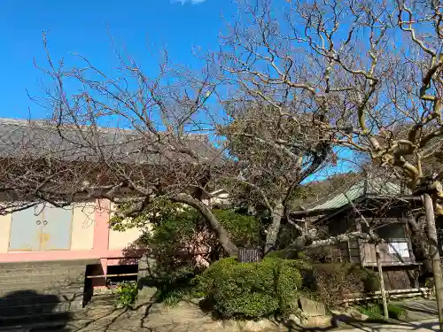 極楽寺（霊鷲山感應院極楽律寺）の景色