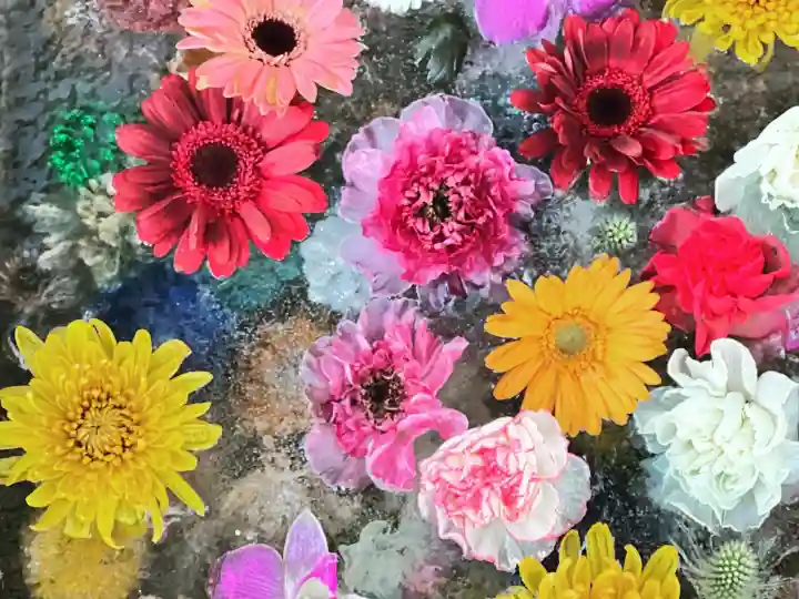 札幌諏訪神社の手水舎