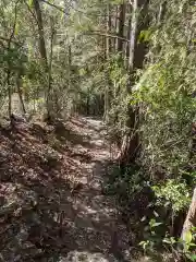 琴平神社の自然