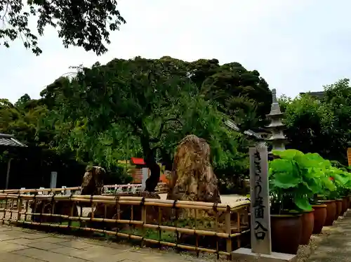 香勝寺の庭園