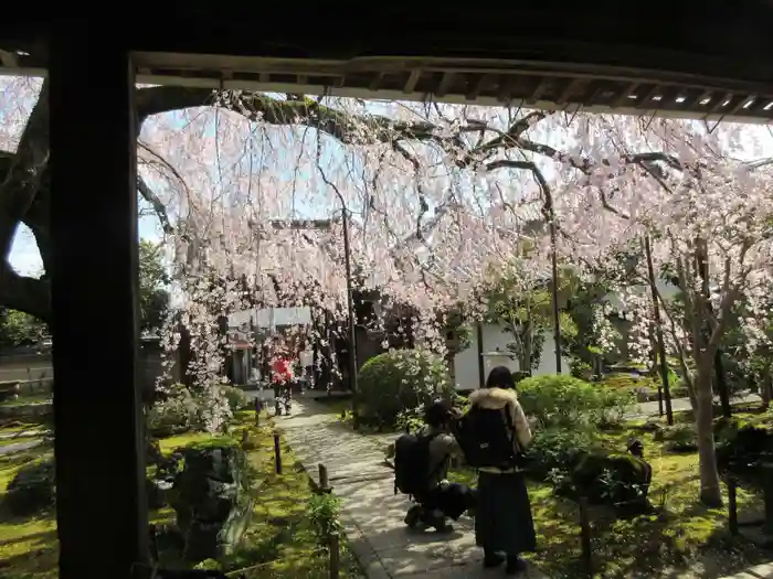 専称寺の建物その他