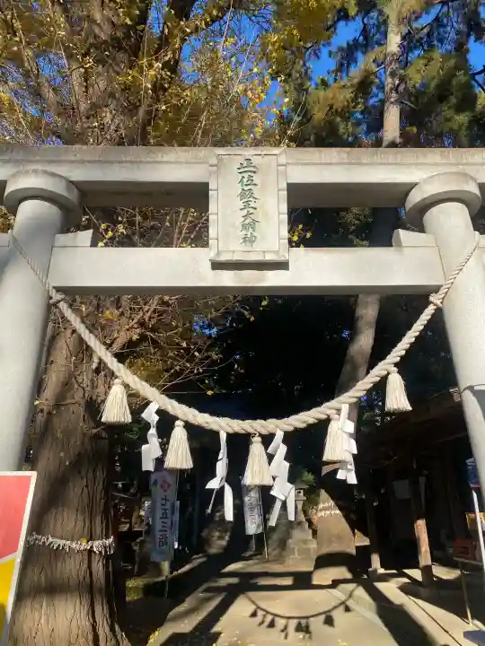 開運招福 飯玉神社(群馬県)
