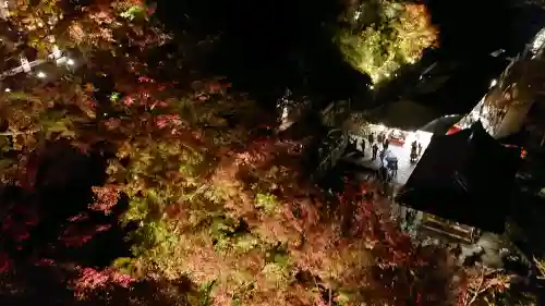 清水寺の{uncategorized: "未分類", other: "その他", undefined: "問題あり", building: "その他建物", grave: "お墓", sacred_gate: "鳥居", guardian: "狛犬", statue: "像", buddha: "仏像", history: "歴史", nature: "自然", garden: "庭園", animal: "動物", pagoda: "塔", temizu: "手水舎", mountain_gate: "山門・神門", sanctuary: "本殿・本堂", subordinate: "末社・摂社", art: "芸術", scenery: "景色", jizo: "地蔵", ema: "絵馬", goshuin: "御朱印", omikuji: "おみくじ", items: "授与品その他", amulet: "お守り", goshuincho: "御朱印帳", eats: "食事", festival: "お祭り", votive_dance: "神楽", shichigosan: "七五三参", wedding: "結婚式", experience: "体験その他", initially: "初詣", around: "周辺", anti_infection: "感染症対策"}